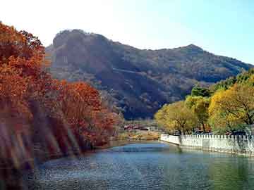 奥门天天开奖免费资料，石家庄岩棉保温板